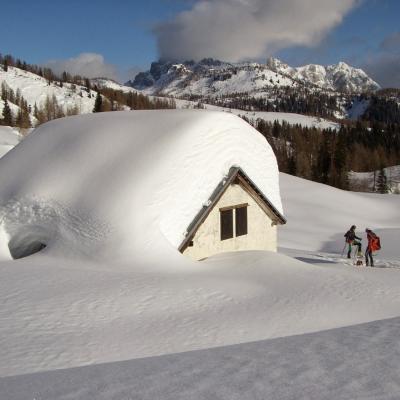 Forni Di Sopra Dolomiti 208