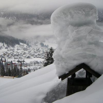 Forni Di Sopra Dolomiti 218