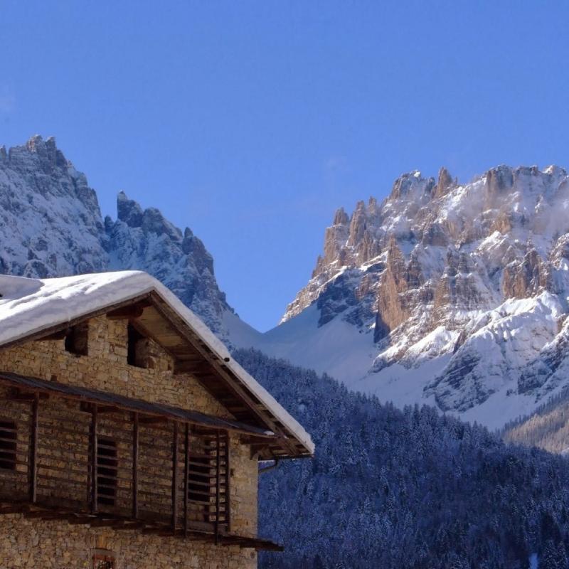 Forni Di Sopra Dolomiti 219