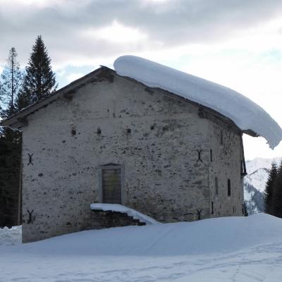 Forni Di Sopra Dolomiti 231