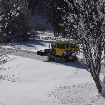 Forni Di Sopra Dolomiti 248