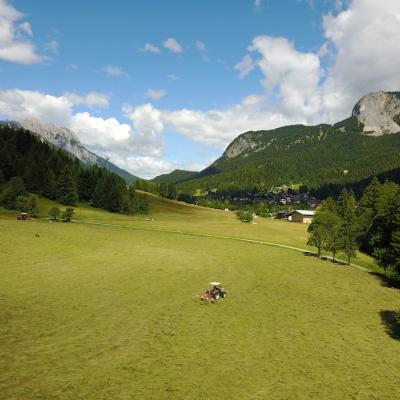 Forni Di Sopra Dolomiti 281