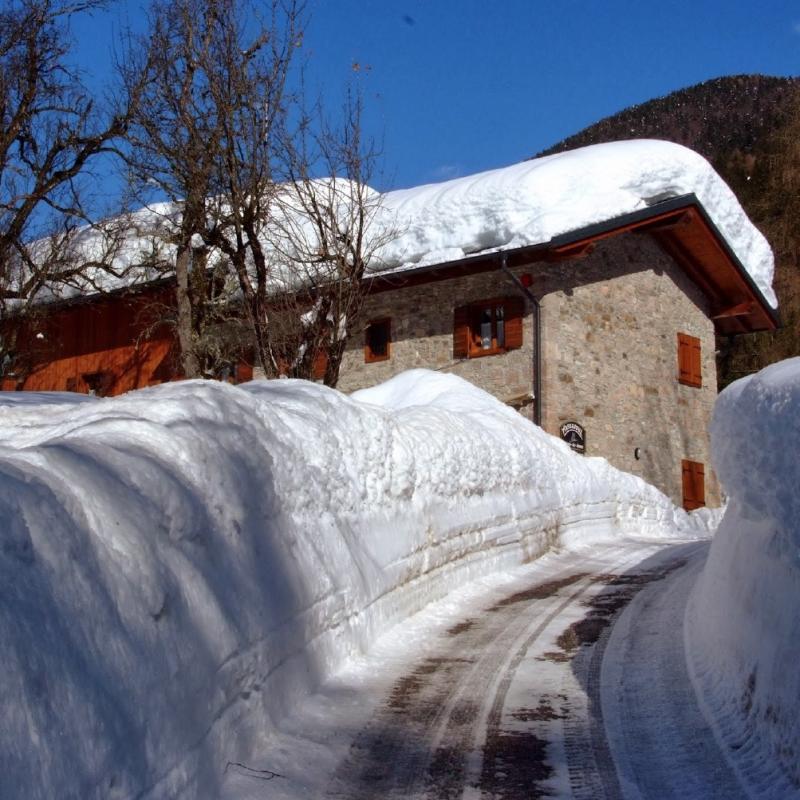 Forni Di Sopra Dolomiti 287