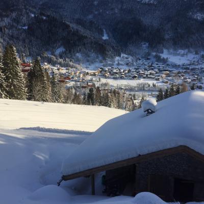 Forni Di Sopra Dolomiti 292