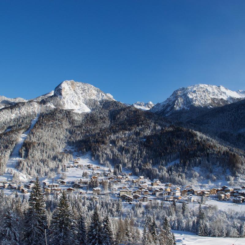 Forni Di Sopra Dolomiti 337