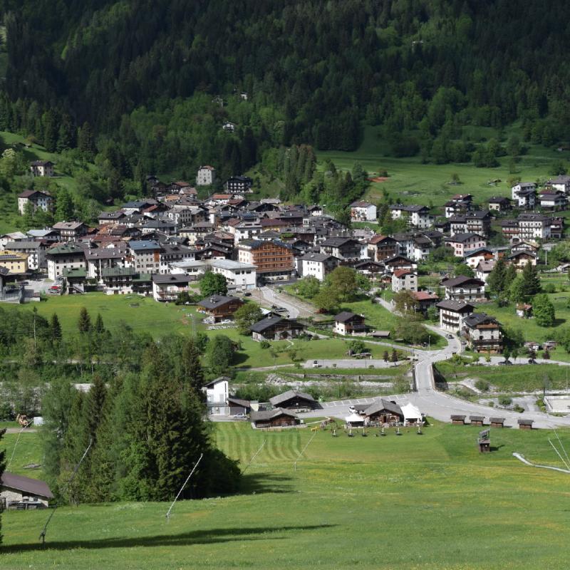 Forni Di Sopra Dolomiti 350