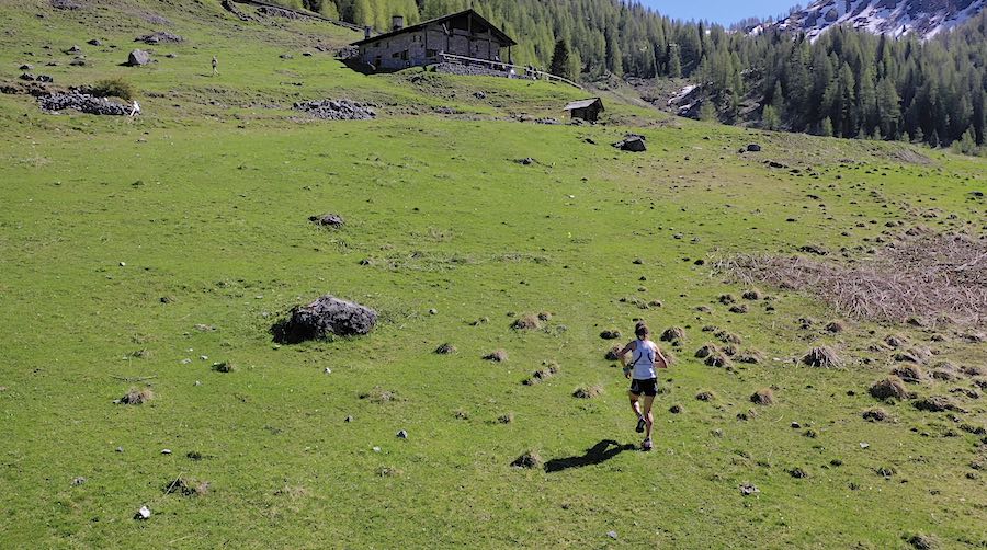 trail delle malghe forni di sopra tragonia