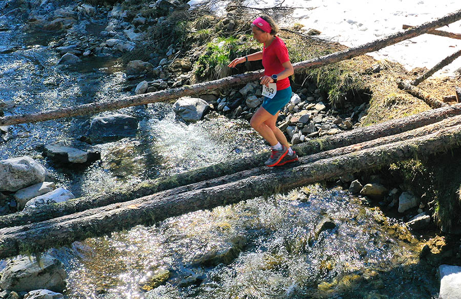 trail malghe gs stella alpina