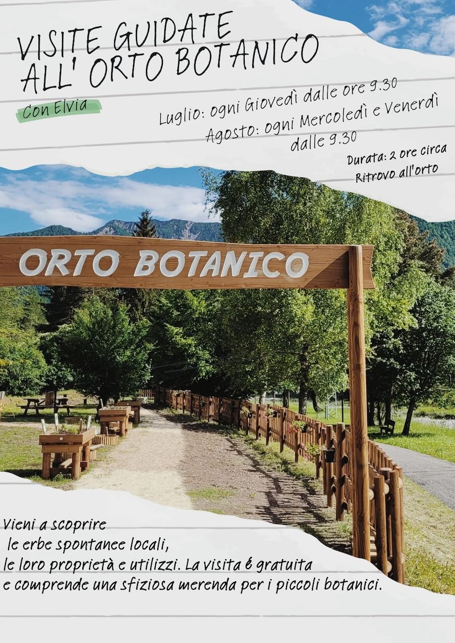 visite orto 2024
