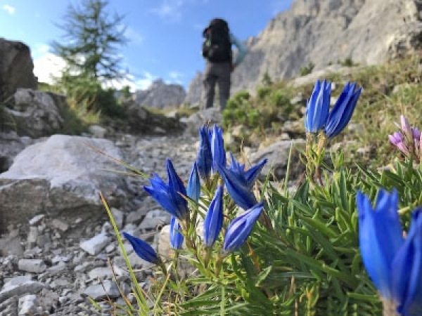 TREKKING ALTA VIA DI FORNI