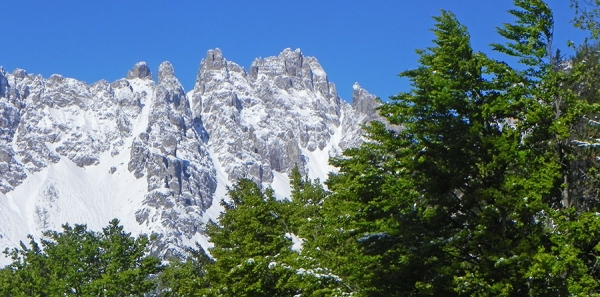 Informazioni Turistiche Forni di Sopra e Dolomiti Friulane