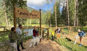 DOG PARK