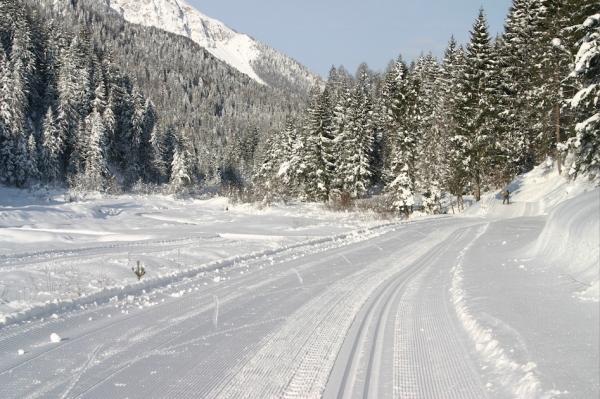 SCIARE LUNGO IL TAGLIAMENTO