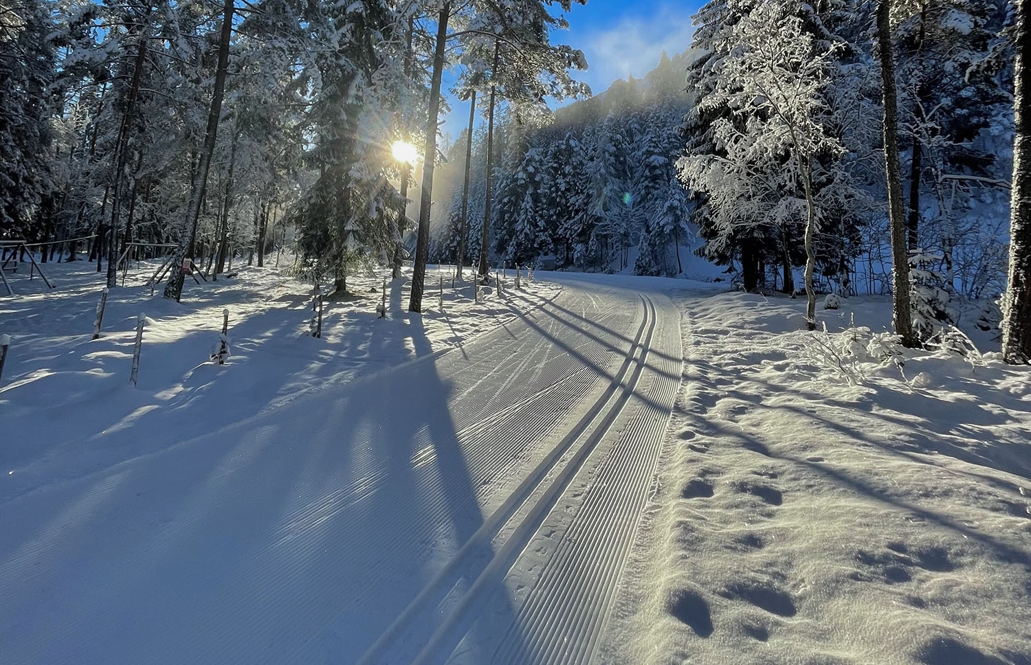 Sci nordico e Biathlon