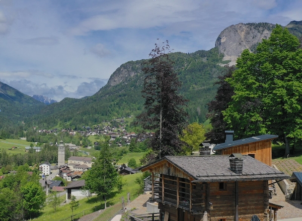 Servizi Turistici Estate 2025