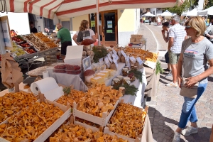 VACANZA &quot;FESTA DEI FUNGHI&quot;