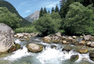 VACANZA PESCA SPORTIVA A FORNI DI SOTTO